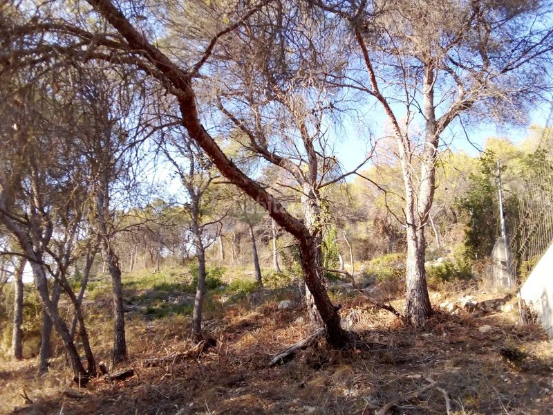 Foto fb417a25-fde2-43f2-b2cd-c85f5afb36e7. Terreny residencial a Mas Trader-Corral d´En Tort-Corral d´En Cona Cubelles