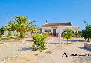 Mas en Moguer. En venta  finca rstica con vivienda y piscina en moguer (huelv