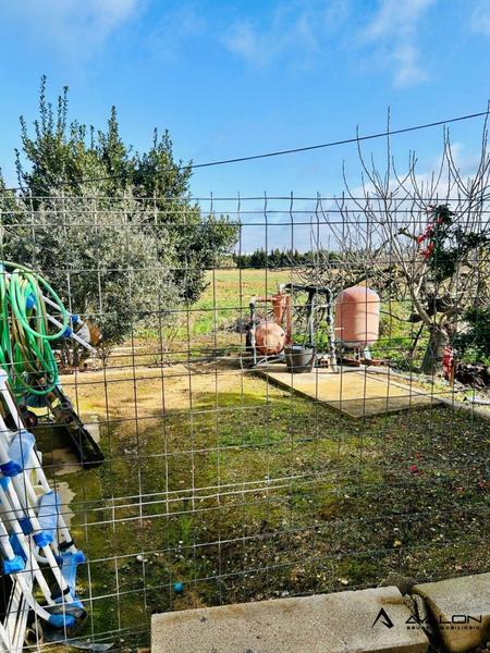 Foto 1c792091-dd25-4820-9dc0-c535058d08e9. Masia amb piscina a Núcleo Urbano Aljaraque