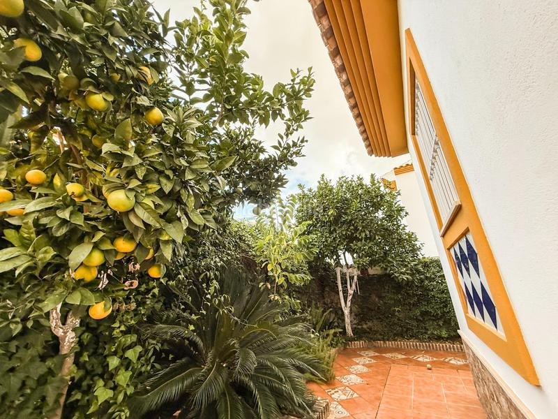 Foto 970106d3-bde0-40d1-aa51-e65ee8c2c5f7. Chalet con parcheggio piscina in Ayamonte ciudad Ayamonte