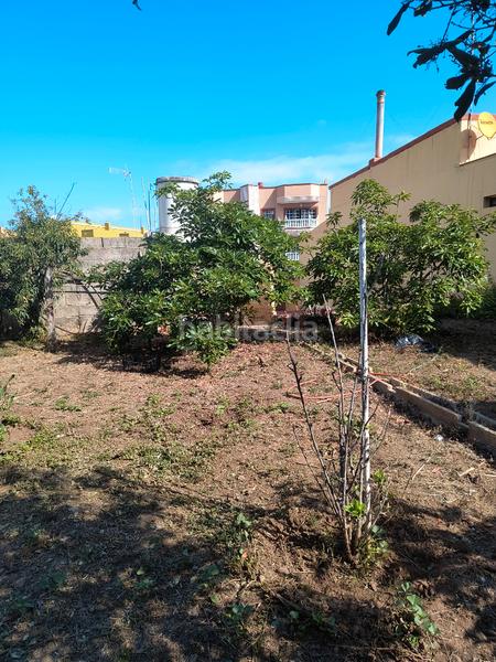 Foto 5b63e63c-3f10-40a0-b2c2-b11adebef6a8. Casa  terrera tipica del norte de la isla en Buen Paso - La Mancha Icod de los Vinos