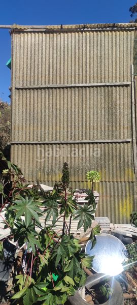 Foto afc1a9fe-4088-43e8-bc82-33bada75abc1. Finca rústica a tf-154 312 a Tegueste