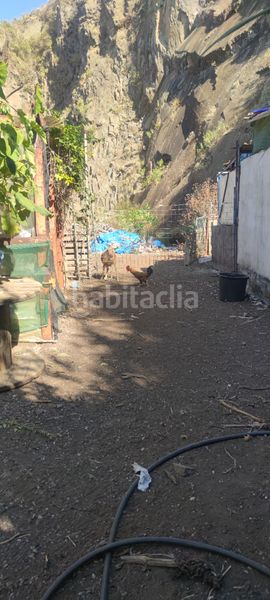 Foto cb180db7-6741-4ce6-b9e3-d4280641de7d. Finca rústica a tf-154 312 a Tegueste