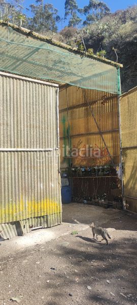 Foto cbda70a9-986c-489c-9d49-e3afc4774ce3. Finca rústica a tf-154 312 a Tegueste