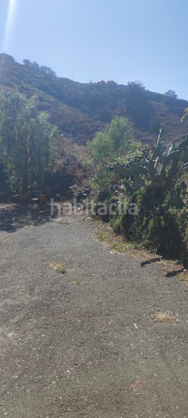 Foto f48acaef-ab07-47a3-b633-c0a55c39558c. Finca rústica a tf-154 312 a Tegueste