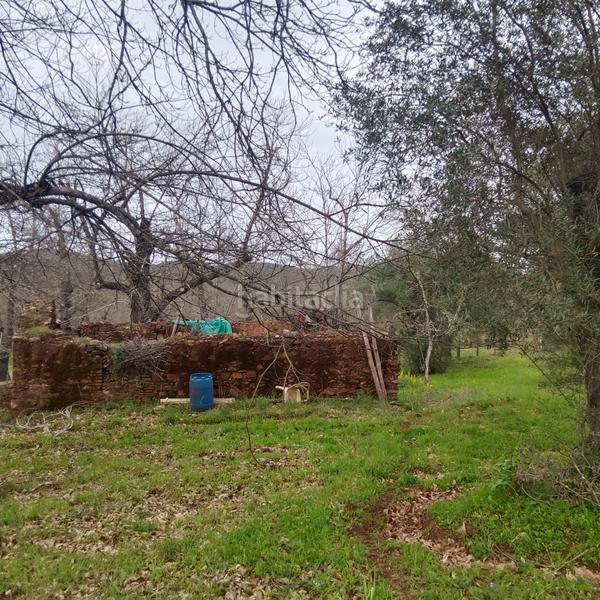 Foto a1b58a72-4416-447b-b3e9-fd3d532d46d8. Finca rústica preciosa parcela de castaños en Aracena