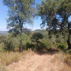 Finca rústica a Jabugo. Precosa finca jabugo