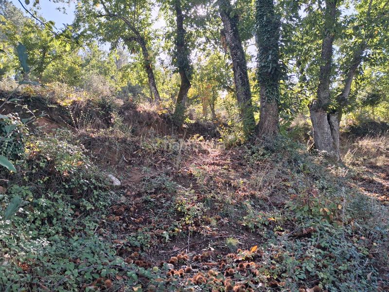 Foto 3e9af227-cb33-4c25-8b87-52d3fcdb73e2. Rural plot in Jabugo