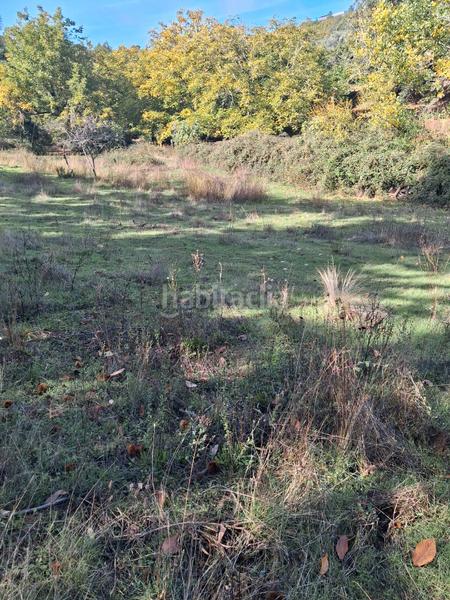 Foto 560493cf-5c2e-4bdd-a5c7-9c2e709ec459. Rural plot in Jabugo