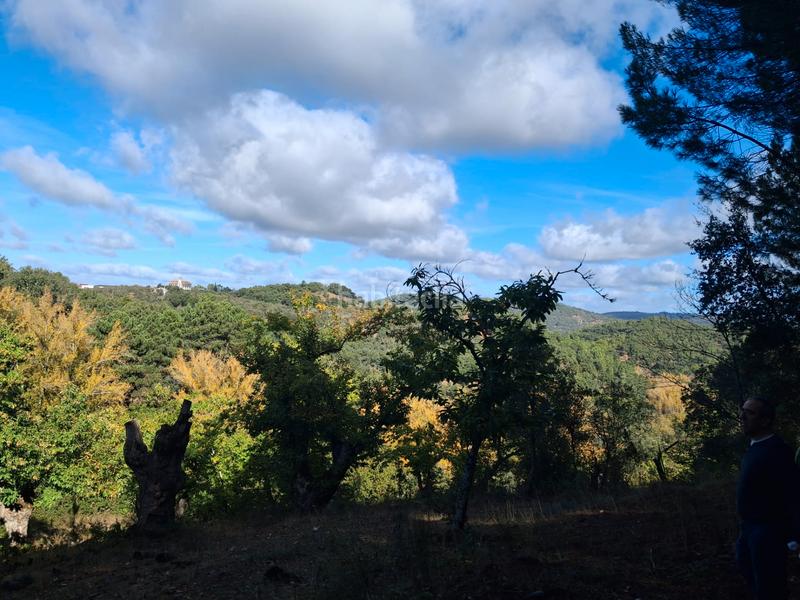 Foto 739848d8-bc74-4535-840c-576b77ef5e85. Rural plot in Jabugo