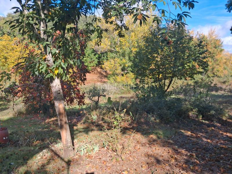 Foto 965a49dc-564d-4cdf-a22c-1ff46abbb1ca. Rural plot in Jabugo