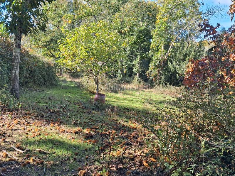 Foto 96ad2dd5-fb67-4569-a02f-fe263f7cd028. Rural plot in Jabugo