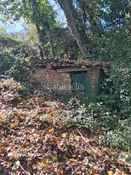 Foto a2fed25b-adff-4ffa-9813-ddf6b726b820. Rural plot in Jabugo