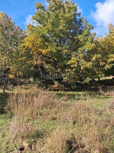 Foto adc9be99-2df1-412a-be15-79ace6be1e4e. Rural plot in Jabugo