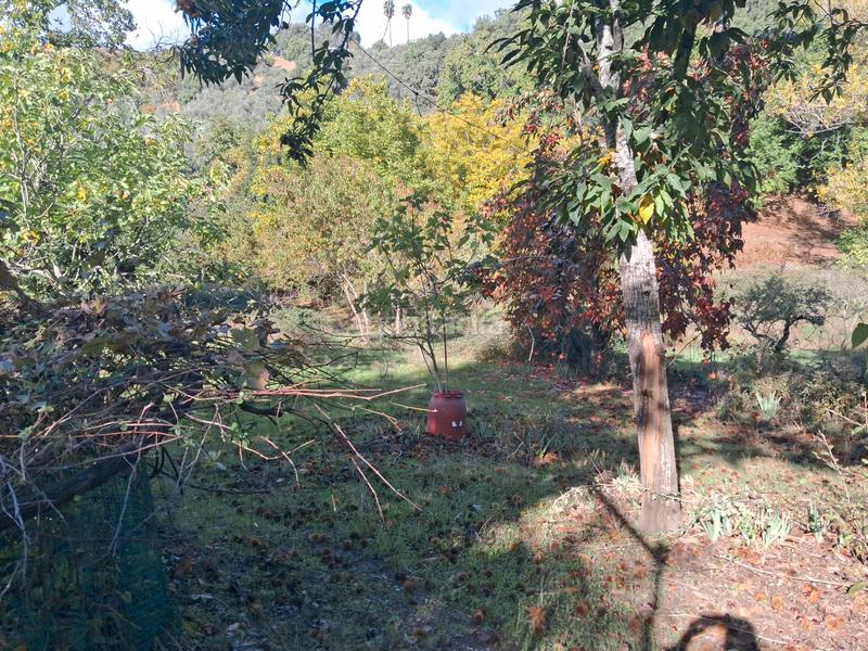 Foto cf4188df-0e81-46a7-bd1b-eaa96a4a4fc3. Rural plot in Jabugo