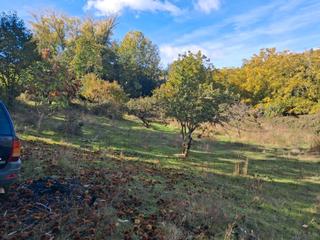 Rural plot in Jabugo. Preciosa finca rustica