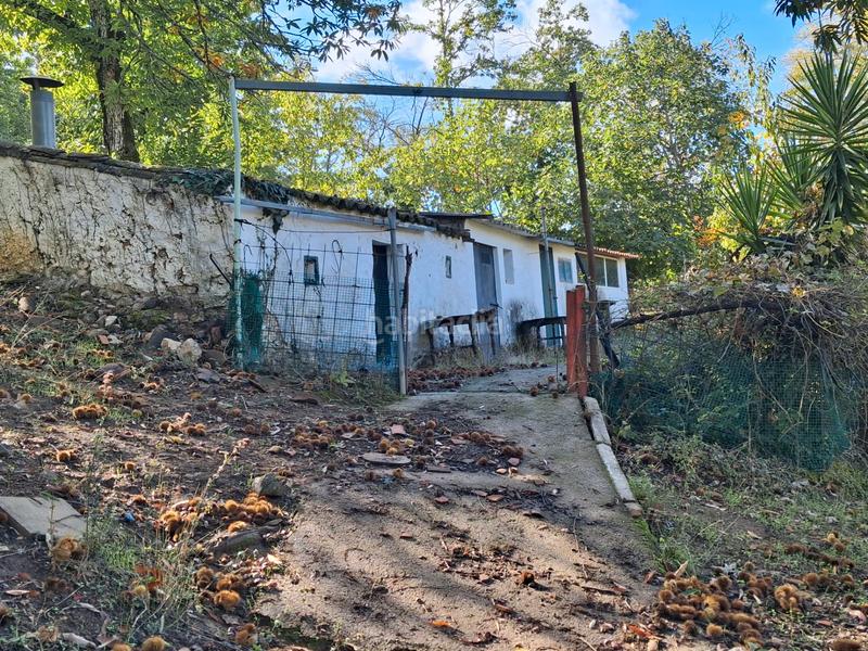 Foto ed127c0a-2eb7-4f47-8730-00cc9beac31f. Rural plot in Jabugo