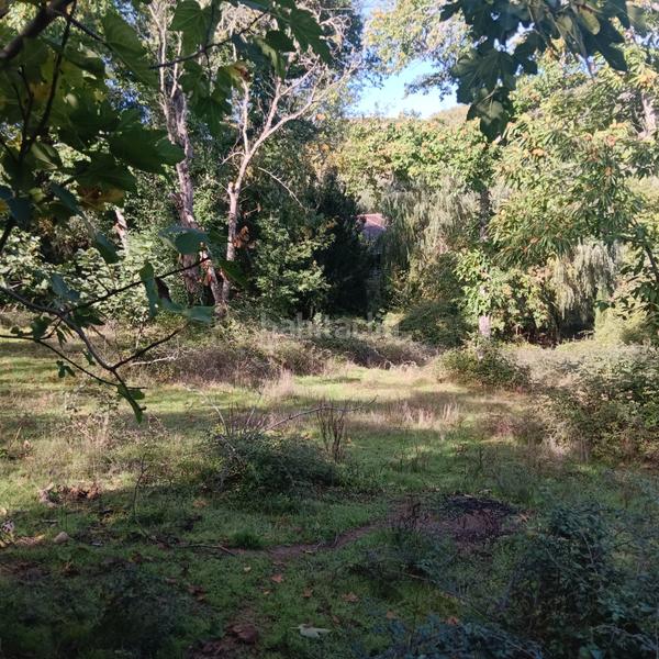 Foto f0f8ca43-10ed-4908-8c04-b1f67d27c70d. Rural plot in Jabugo