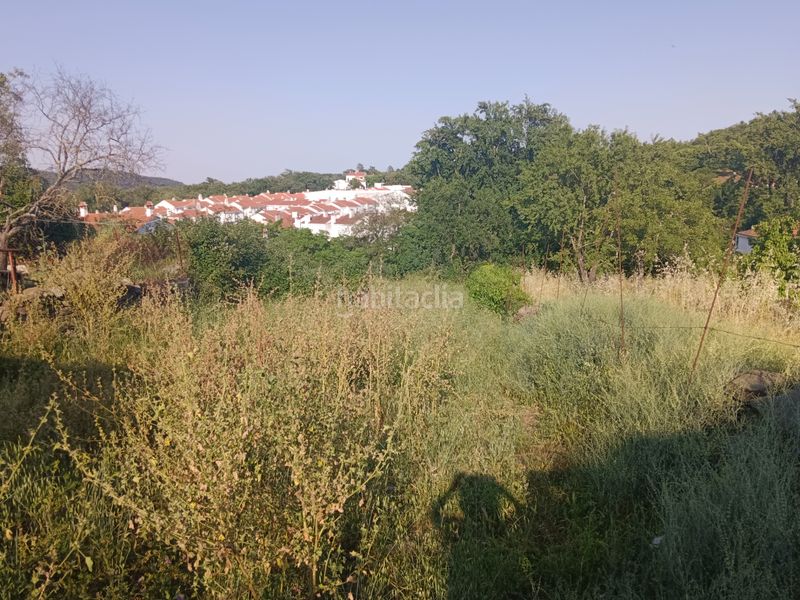 Foto 46128249-0c24-4590-95cf-7bdc26129793. Terreny residencial a Marines (Los)