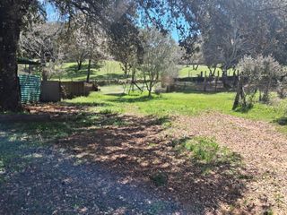 Fondo rustico in Cortelazor. Espectacular finca rustica con  dos casas