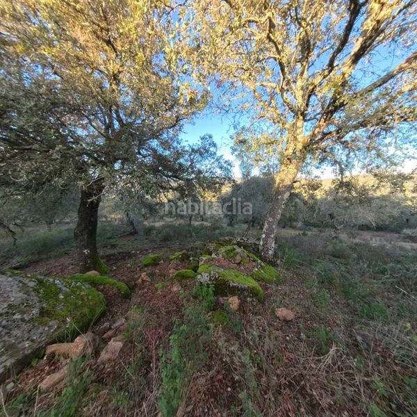 Foto 241ad517-184d-43ee-a256-66a98d687fb5. Masia a Cortegana