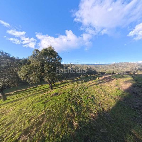 Foto 44659d5f-d483-4920-9fa4-d931befe6c83. Masia a Cortegana