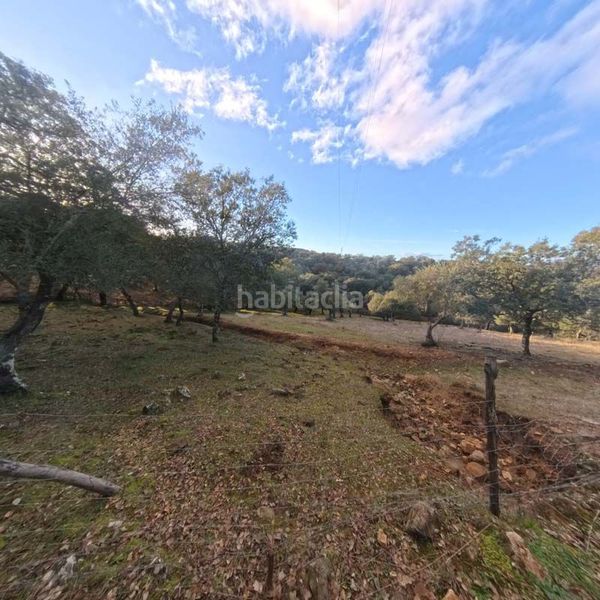 Foto becdda8d-684f-4515-981b-be4e923b979c. Masia a Cortegana