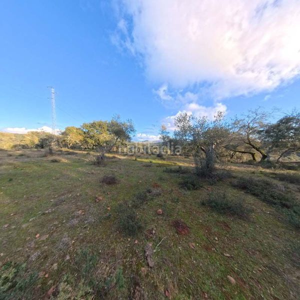 Foto e49f9217-f577-4b4f-a238-1d4f784ae43b. Masia a Cortegana
