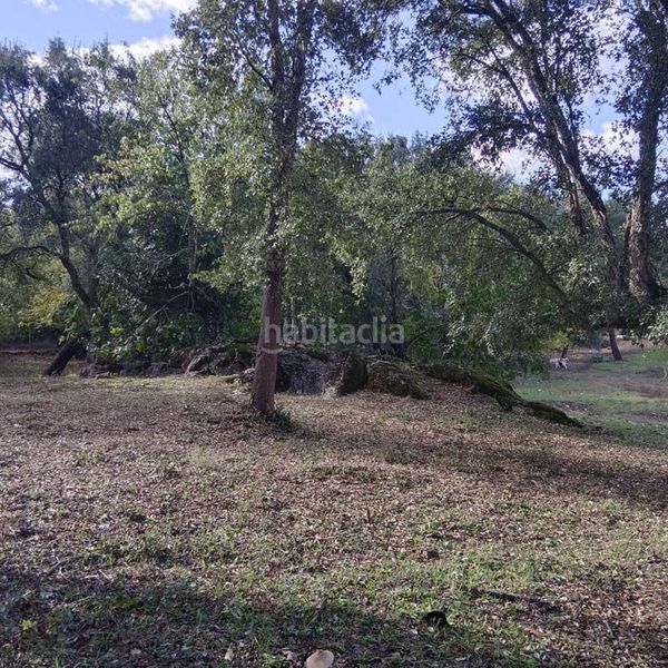 Foto 7727c6c9-f83e-4933-85e8-eeba070f425d. Masia a Marines (Los)