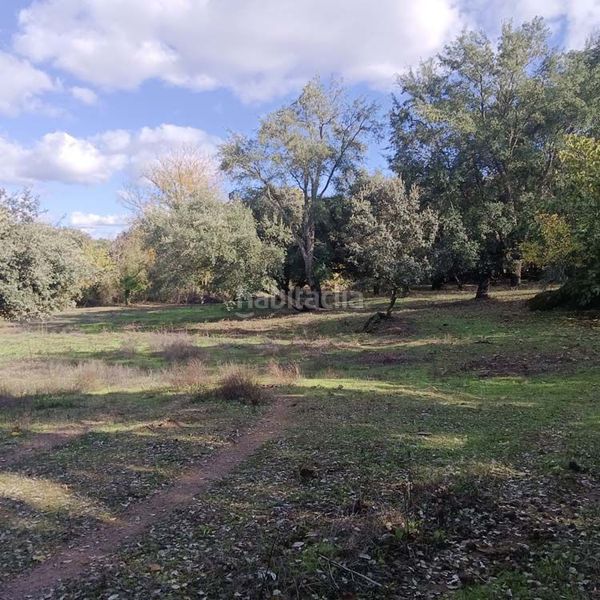 Foto cbdd4c41-cdcd-4121-9943-3c127469c73d. Masia a Marines (Los)