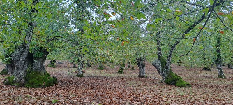 Foto ec4e25d7-bfd8-42df-abf7-29b580552093. Masia a Marines (Los)