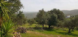 Bauernhof in Aroche. Finca rúst. en venta en aroche, 5 dormitorios.