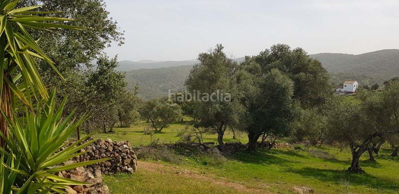 Foto 35074e3d-c465-4304-8898-bb494df3d421. Masia a Aroche