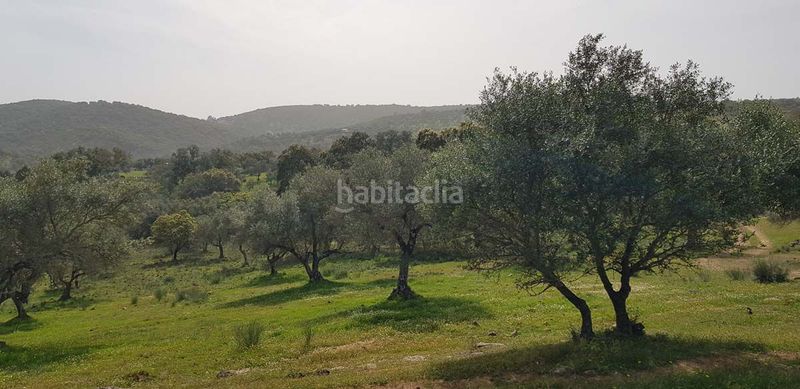 Foto 54e36c7d-3324-451f-a592-4fa1fc5b56a2. Masia a Aroche
