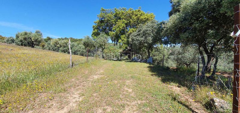 Foto b8df4388-158a-487c-8814-d94a92f11321. Masia a Aroche