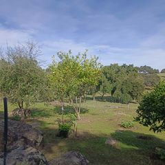 Mas à Castillo de las Guardas (El). Finca rúst. en venta en valdeflores, 2 dormitorios.