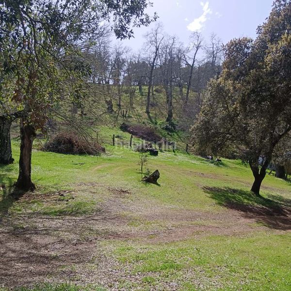 Foto 1b7dd65c-d93a-4b0b-a255-826085382145. Mas dans Cortelazor