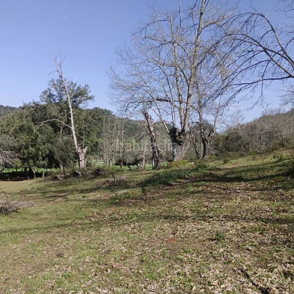 Foto bc190a4d-22e5-4e90-9baf-2b28aad20cd5. Mas dans Cortelazor