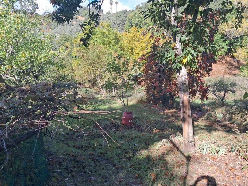 Foto d0b01daa-9bb8-4b9f-8eee-cc3c275844c6. Masia a Jabugo