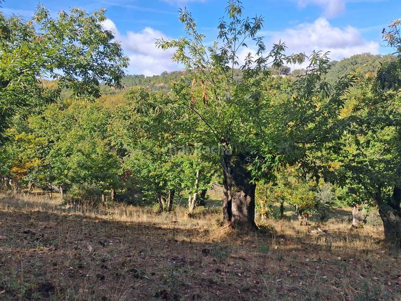 Foto eeb6c059-f35f-4f96-8f96-fdef156d00c7. Masia a Jabugo