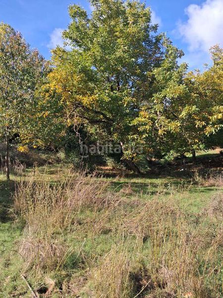 Foto ef30f7c3-035e-4cf5-bfae-3d2769359dea. Masia a Jabugo