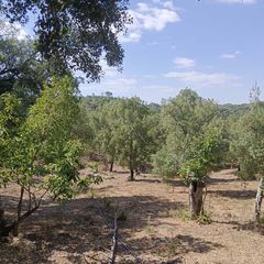 Casale in Fuenteheridos. Finca rúst. en venta en fuenteheridos, 2 dormitorios.