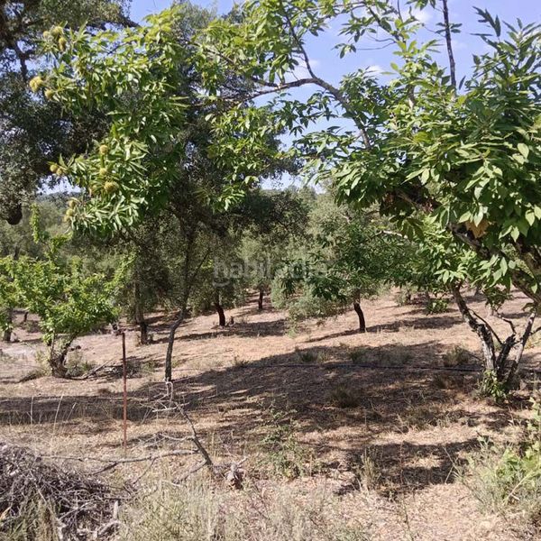 Foto e7df8b44-1539-4cf0-8543-8b88f5c5d55e. Masia a Fuenteheridos
