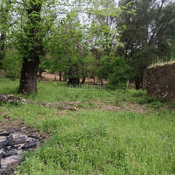 Foto a06617be-907c-4db2-baa9-ac2505736182. Terreny residencial a Marines (Los)