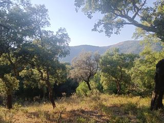 Masia a Linares de la Sierra. Finca rúst. en venta en linares de la sierra.