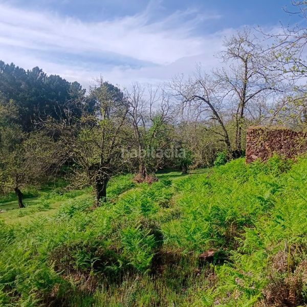 Foto 0971f591-a2a6-4cfc-b4c2-0d79adaba797. Masía finca rúst. en venta . en Aracena