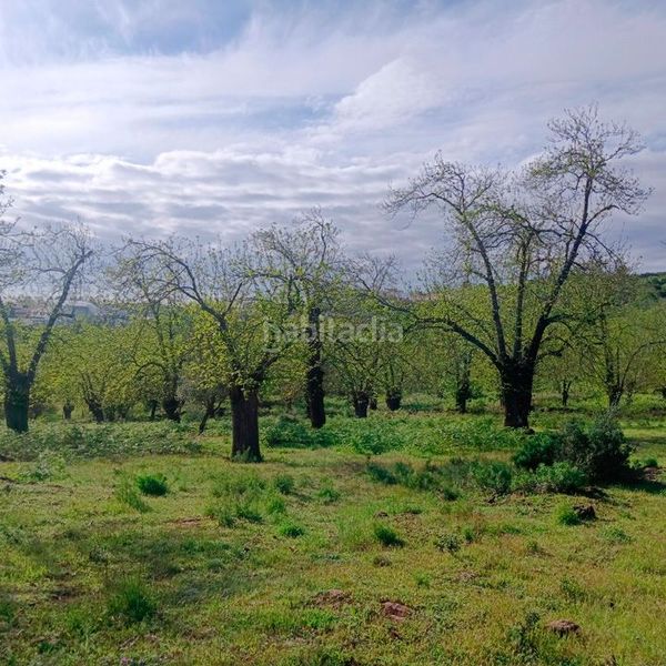 Foto 4f8d4a38-be6d-47fe-899d-ffecda234bd9. Masía finca rúst. en venta . en Aracena