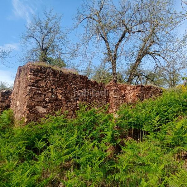 Foto ddb76947-5a8a-4f47-ae26-c62da354d98f. Masía finca rúst. en venta . en Aracena