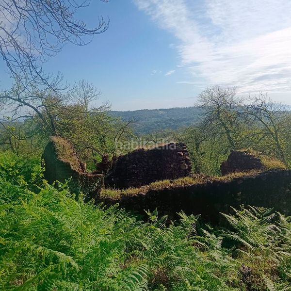 Foto fc8c8d17-856c-47c5-af81-d452894f916b. Masía finca rúst. en venta . en Aracena