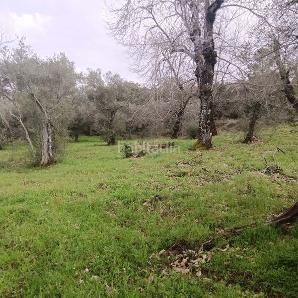 Foto 30b2f836-d9d1-46eb-b4ce-25a0ba45508b. Masia a Aracena